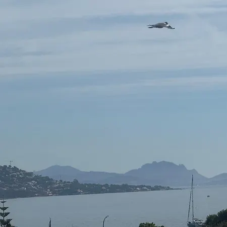 Azzurra *